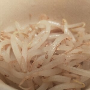 レンジでもやし二分ナムル！